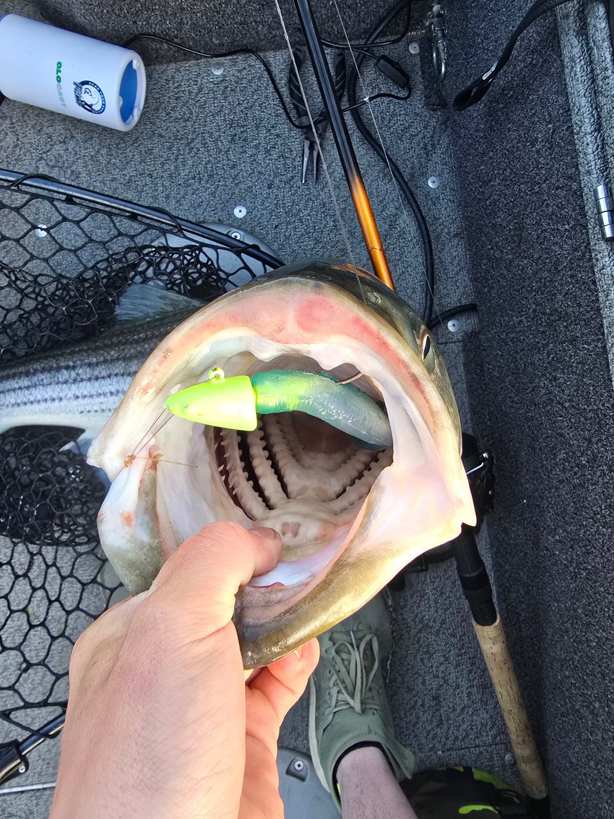 6 inch super smelt 3PACK