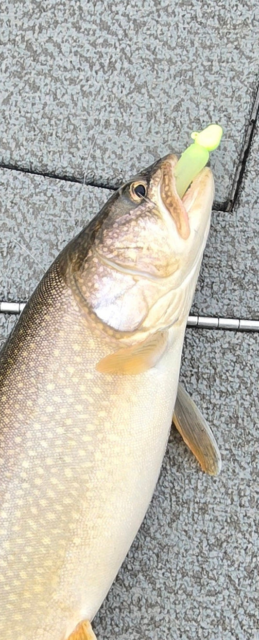 Flat minnow head jig 4PACK