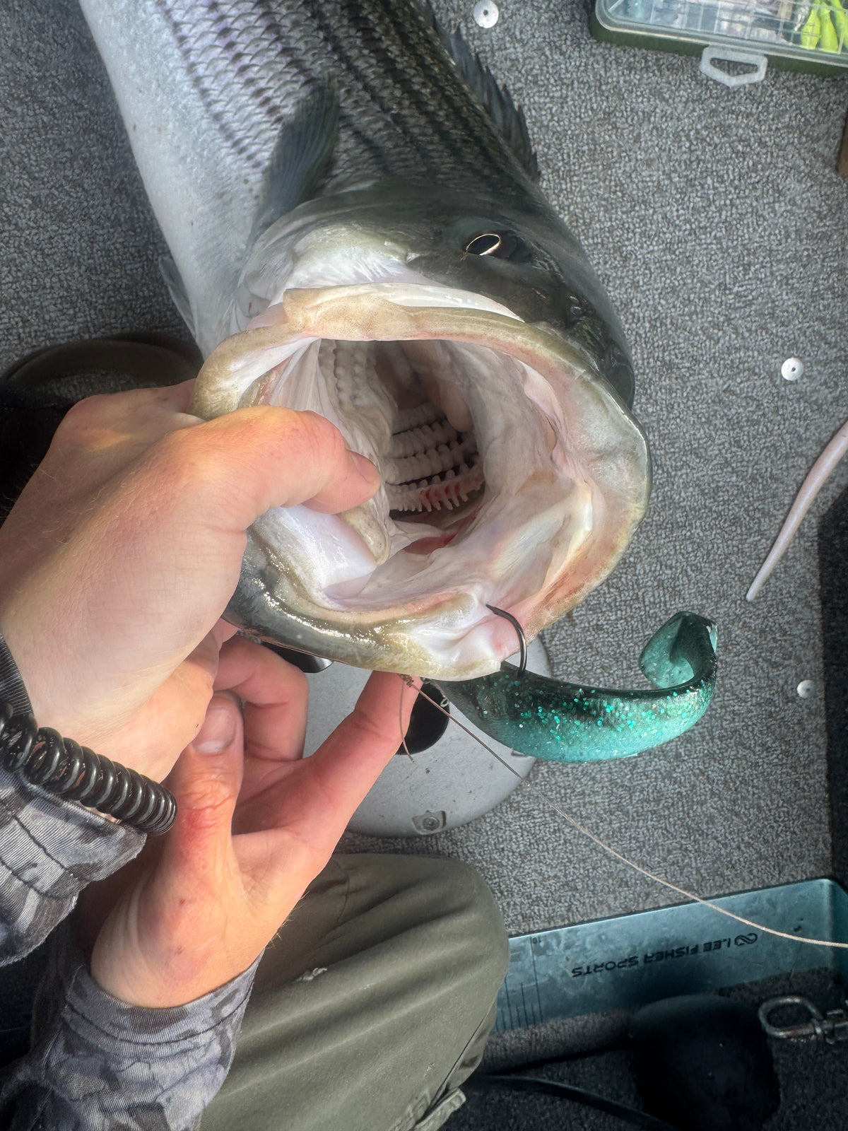 6 inch super smelt 3PACK