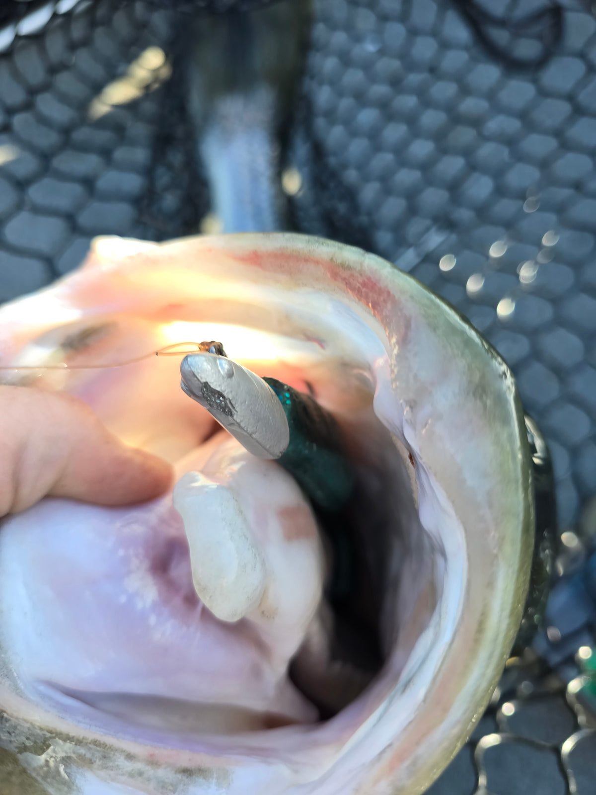 6 inch super smelt 3PACK